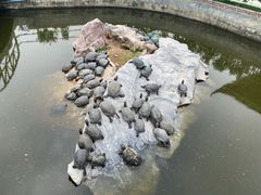 -八景休閒山莊  廣東十大名山莊