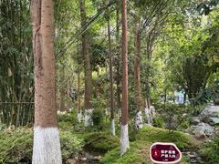 -成都市活水公园