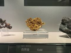 -中国地质博物馆