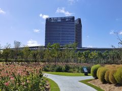 -春花秋色城市公园