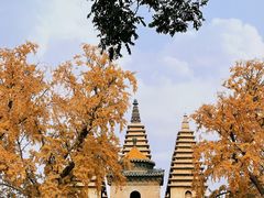 -北京石刻艺术博物馆(五塔寺)