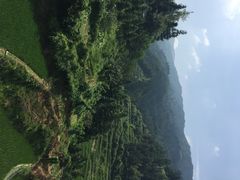 iphone_upload_pic-堂安侗寨