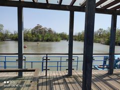 -吴淞炮台湾湿地森林公园烧烤区