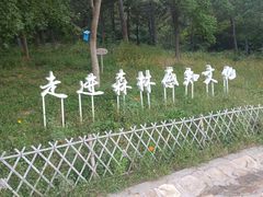 -北京西山国家森林公园