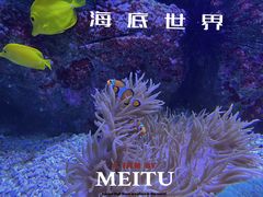 -成都浩海立方海洋公园