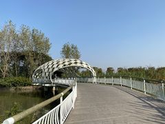 -同里国家湿地公园