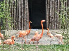 -上方山森林动物世界