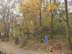 -南京市无想山景区
