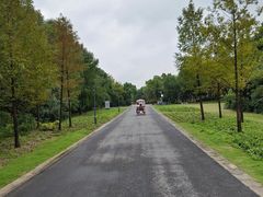 -贡湖湾湿地公园