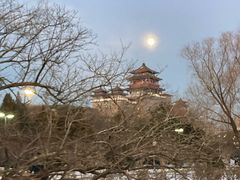 -莲花池公园