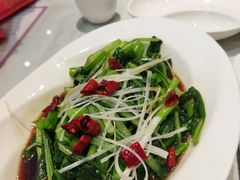 白灼菜心-添福来墨鱼饺子 · 海鲜东北菜(大连星海·黄浦路店)