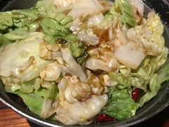 -四季春