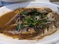 -老苏扬饭店