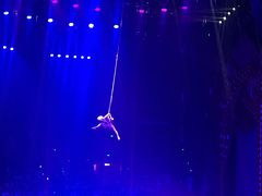 -珠海横琴长隆《卡卡虎奇遇记》