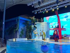 -三亚海昌梦幻海洋不夜城