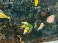 -上海海洋水族馆