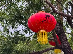 -井塘古村