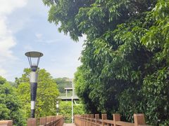 -立新湖公园