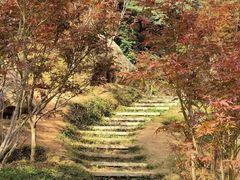 -广州市帽峰山景区