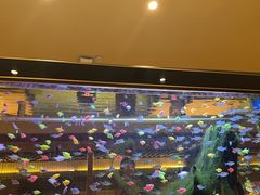-大江户·温泉洗浴(浑南店)