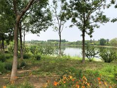 -东郊湿地公园