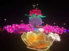 -映月湖公园