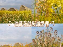 -中国天府农业博览园