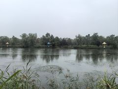 -泗洪洪泽湖湿地景区