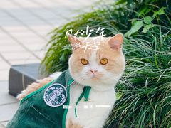 -UN CAFFE(五角场店)