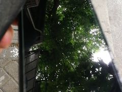 -苹果手机电脑维修回收(胶州路店)