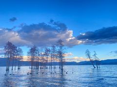 -阿鹏故事野生菌火锅(古城店)