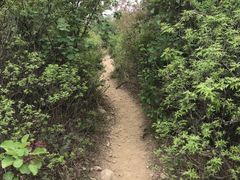 -鬼笑石后山停车场