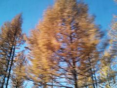 -塞罕坝国家级自然保护区