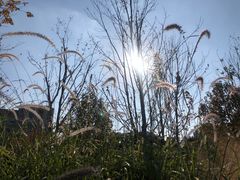 -星伦多自助料理(华润万象城店)