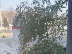 -食悦江南·淮扬菜·烤鸭(亚运村·惠新店)