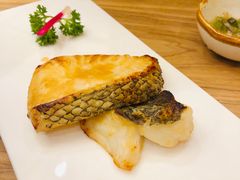 鳕鱼-一本钓鲔鱼屋