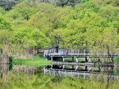 -西湖风景区-江洋畈生态公园