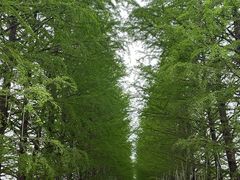 -嘉北郊野公园