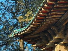 -窦大夫祠