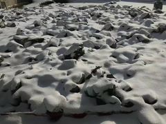 -水磨沟公园