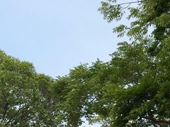 -青岛崂山太清宫