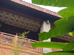 -汪玉霞(汉口里店)