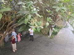-竹吟山房