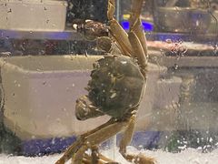 -宴立方海鲜自助(义乌万达广场店)