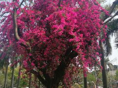 -深圳海景嘉途酒店(东翼楼)