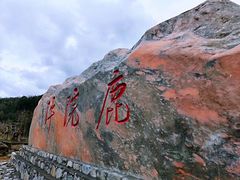 -鹿院坪生态旅游景区
