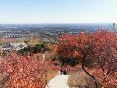 -北京西山国家森林公园