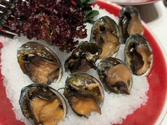 -红鼎豆捞·专注品质海鲜20年(宝丰路店)