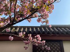 -同里湖度假村(二期店)