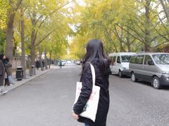 -三里屯东五街银杏大道